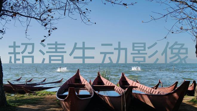 PPO A5 Pro发布会全程回顾K8凯发新一代的“耐用战神”！O(图25)