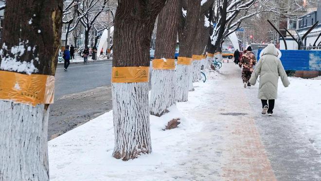 降温!明天昌平速冻模式即将开启凯发k8娱乐登录降雪+大风+(图3)